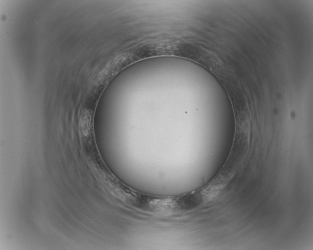 X0000057080133200509231634