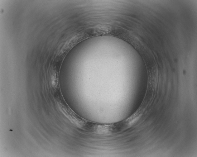 X0000057080134200509231634