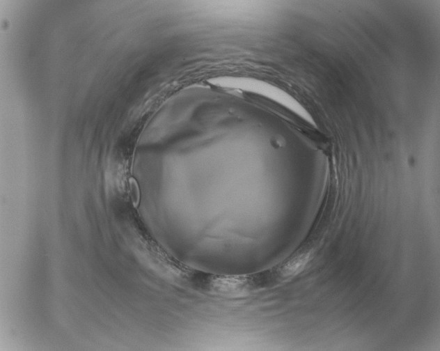 X0000057080139200509231633