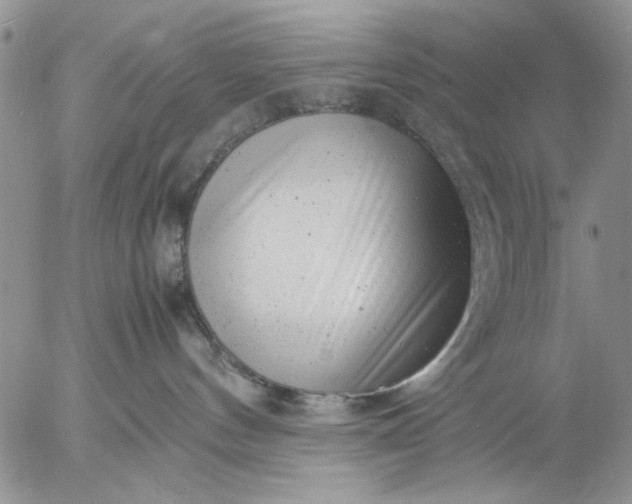 X0000057080144200509231633