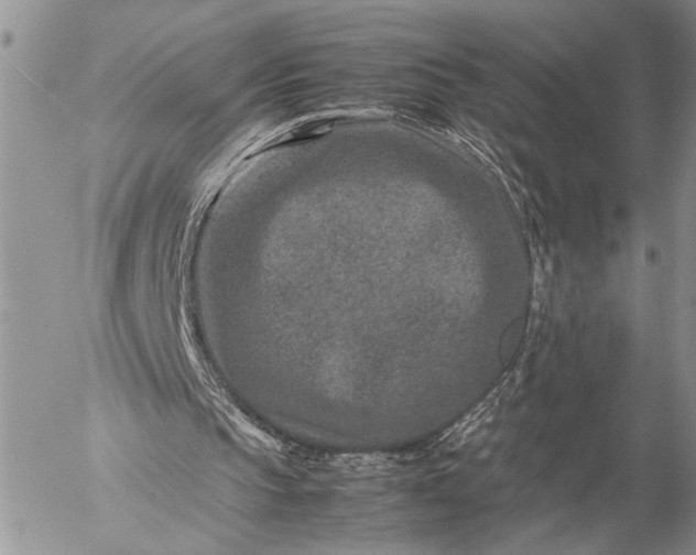 X0000057080145200509231633