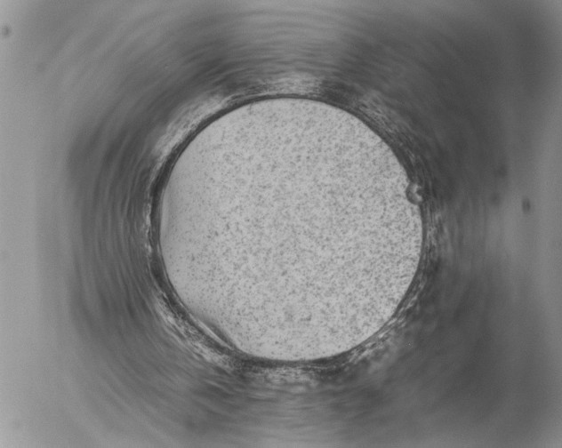 X0000057080146200509231633