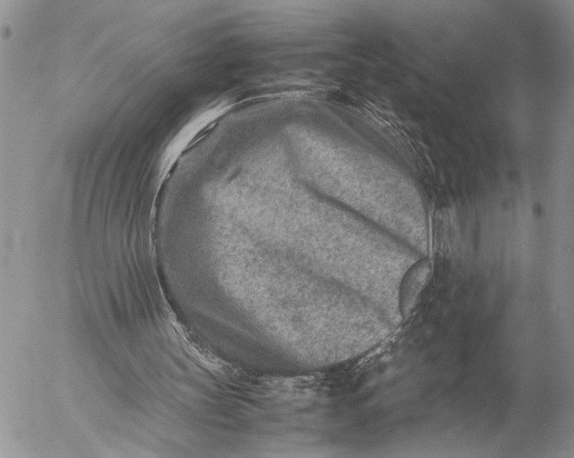 X0000057080147200509231633