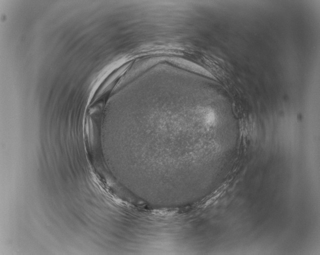 X0000057080148200509231633