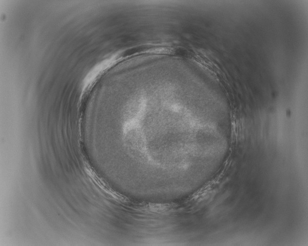 X0000057080149200509231633