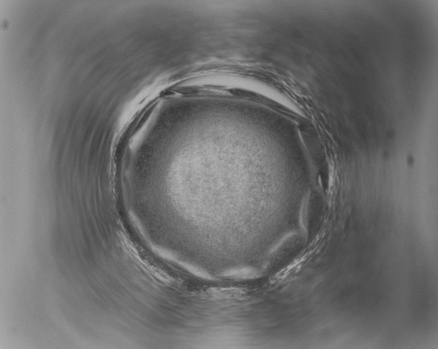 X0000057080150200509231633