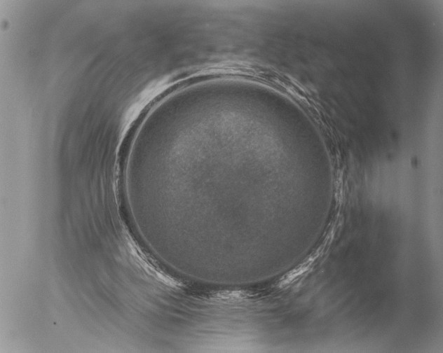 X0000057080152200509231633