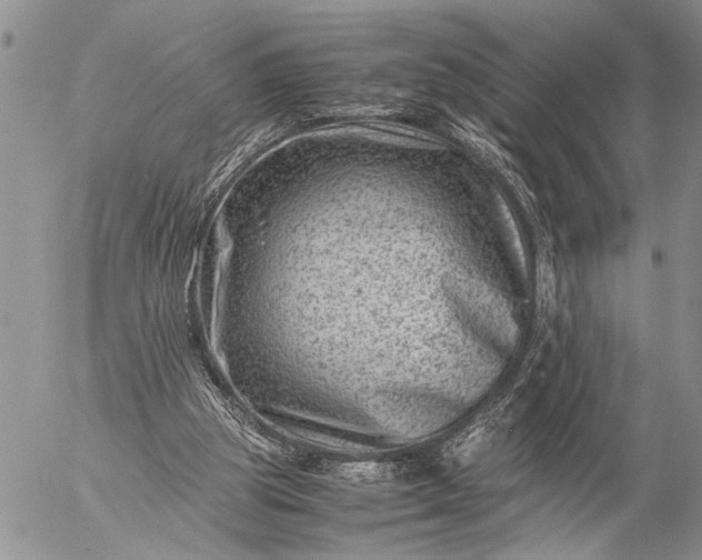 X0000057080153200509231633