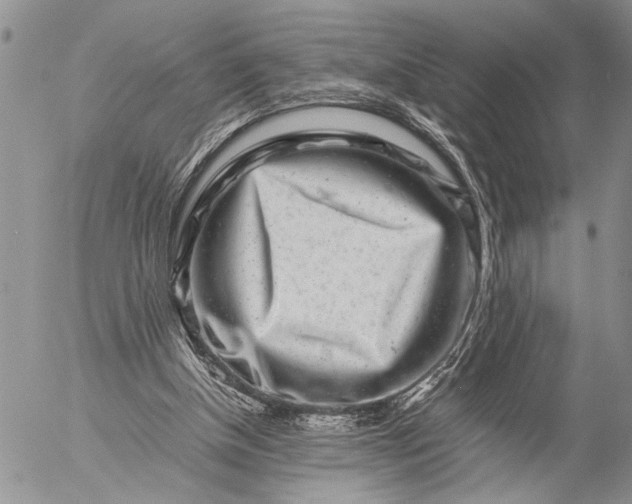 X0000057080154200509231633