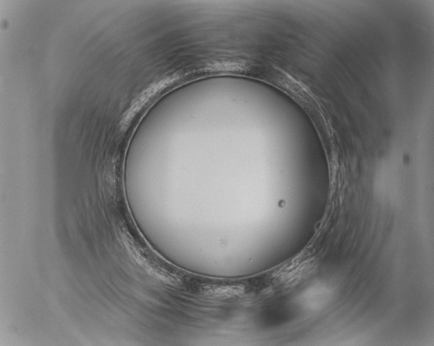 X0000057080155200509231633