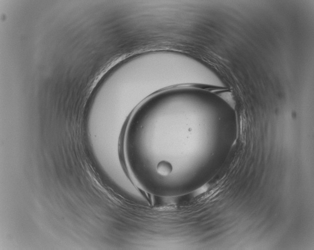 X0000057080156200509231633