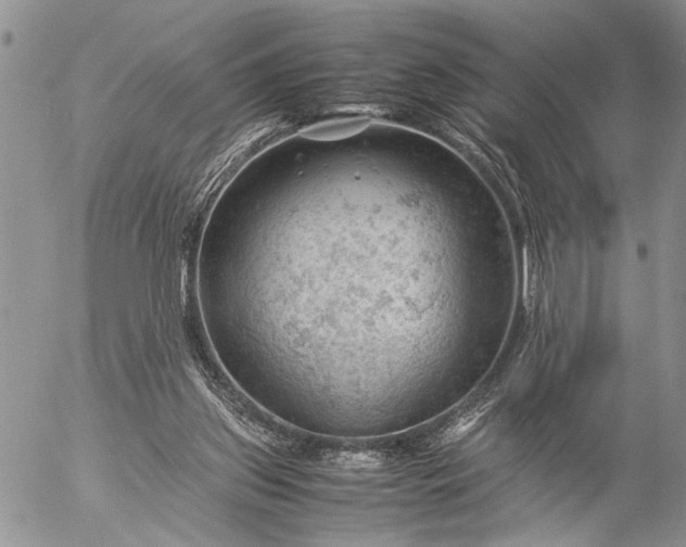 X0000057080157200509231633