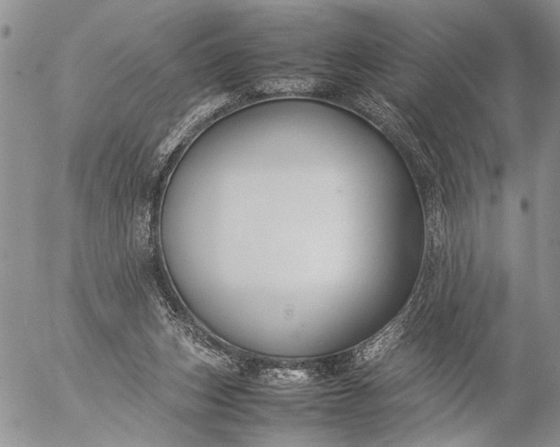 X0000057080159200509231633