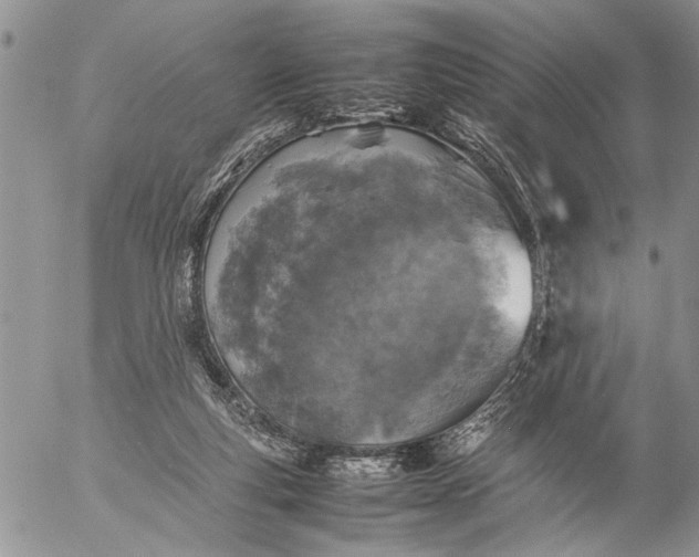 X0000057080163200509231633