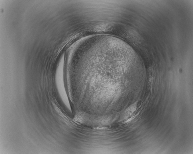 X0000057080164200509231633