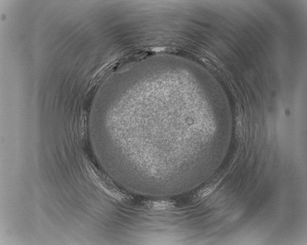 X0000057080165200509231633