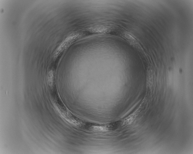 X0000057080167200509231633