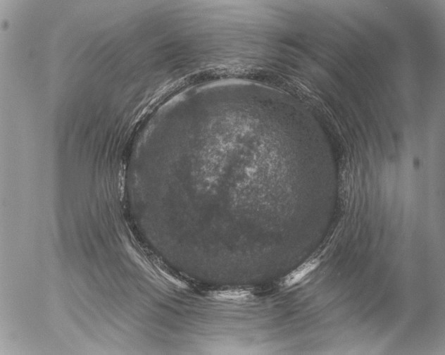 X0000057080168200509231633