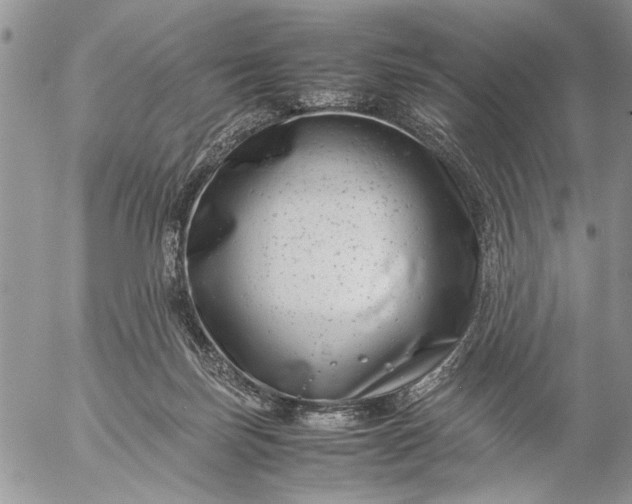 X0000057080171200509231633