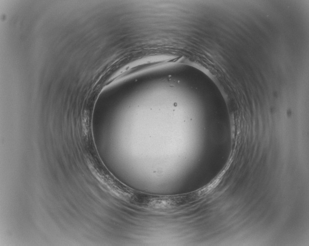 X0000057080174200509231633