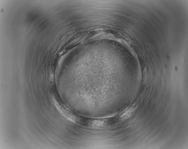 X0000057080176200509231633