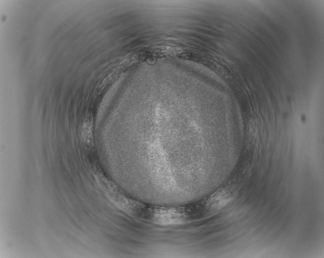 X0000057080177200509231633