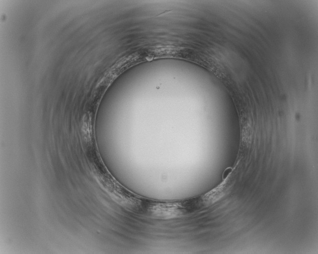 X0000057080179200509231633