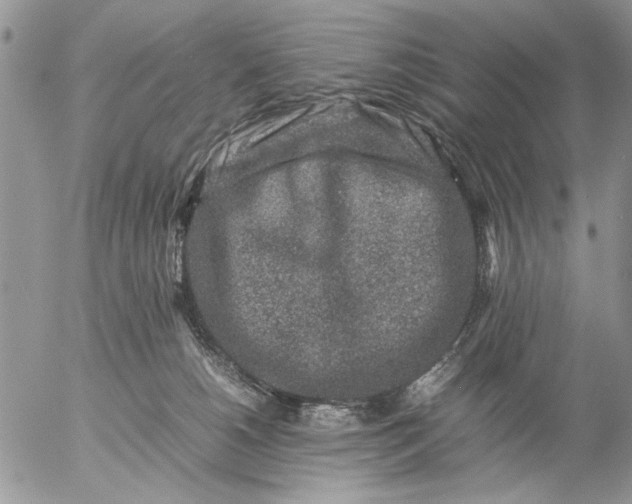 X0000057080180200509231633