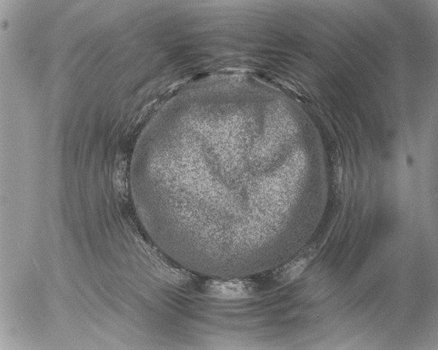 X0000057080181200509231633