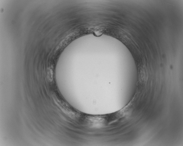 X0000057080183200509231633