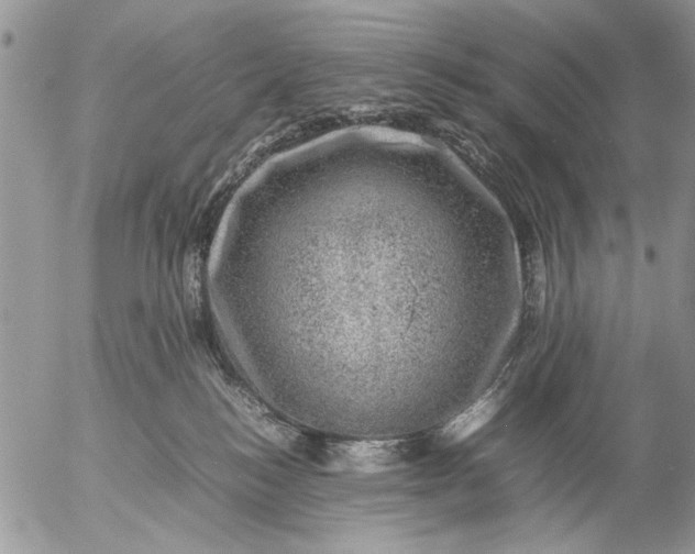 X0000057080184200509231633