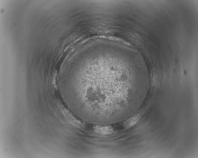 X0000057080185200509231633