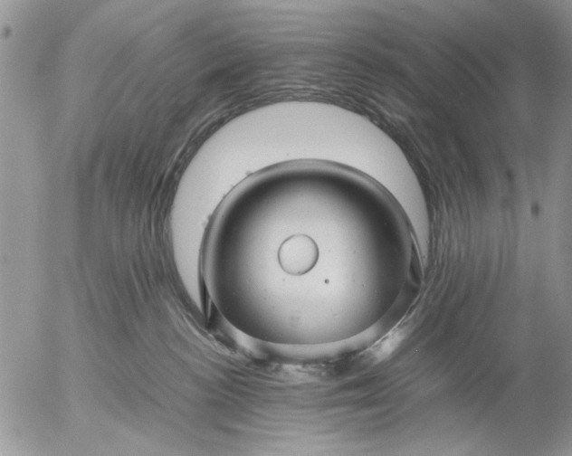 X0000057080188200509231633