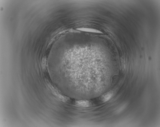 X0000057080189200509231633