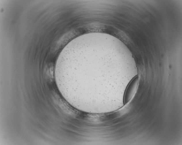 X0000057080190200509231633