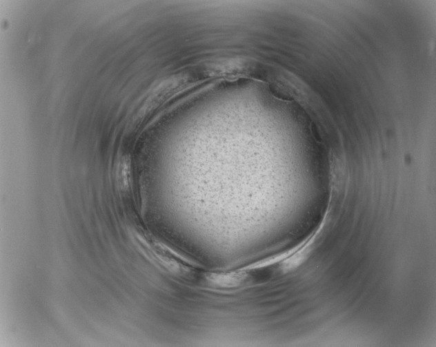 X0000057080191200509231633