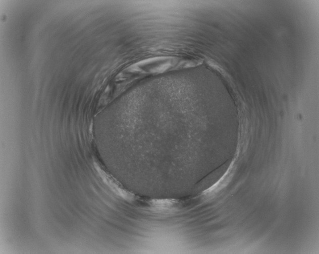 X0000057080192200509231633