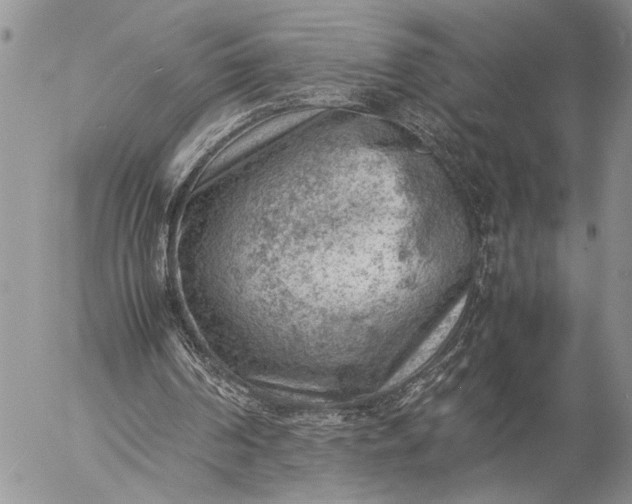 X0000057080194200509231633