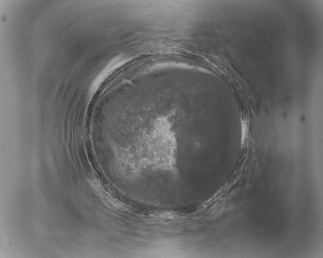 X0000057080195200509231633