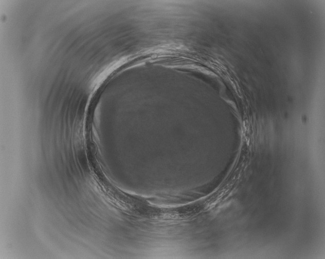 X0000057080196200509231633