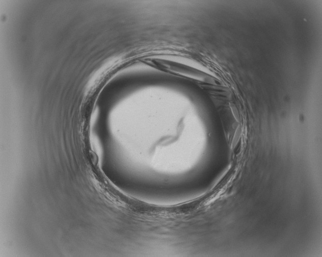 X0000057080197200509231633