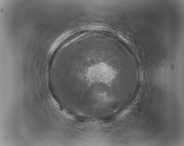 X0000057080199200509231632