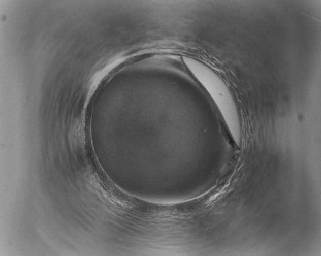 X0000057080200200509231632