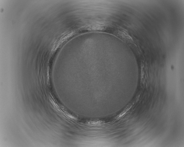 X0000057080202200509231632