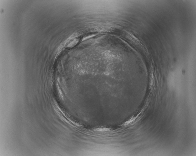 X0000057080203200509231632