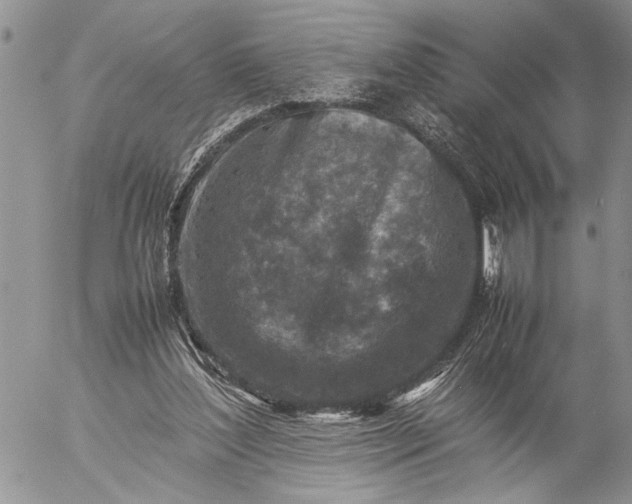 X0000057080204200509231632