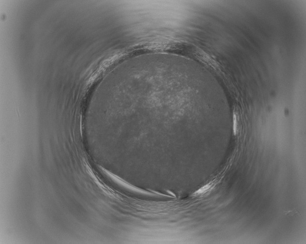 X0000057080205200509231632