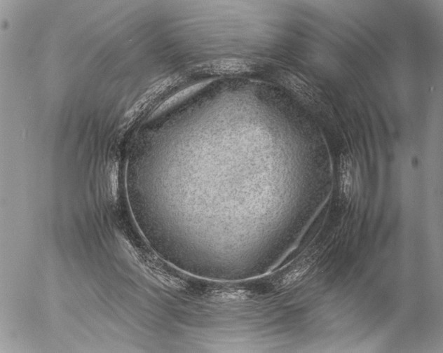 X0000057080206200509231632