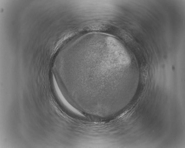 X0000057080207200509231632