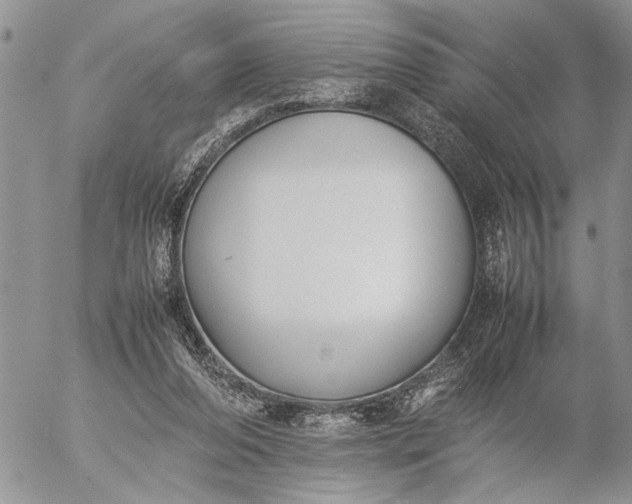 X0000057080208200509231632